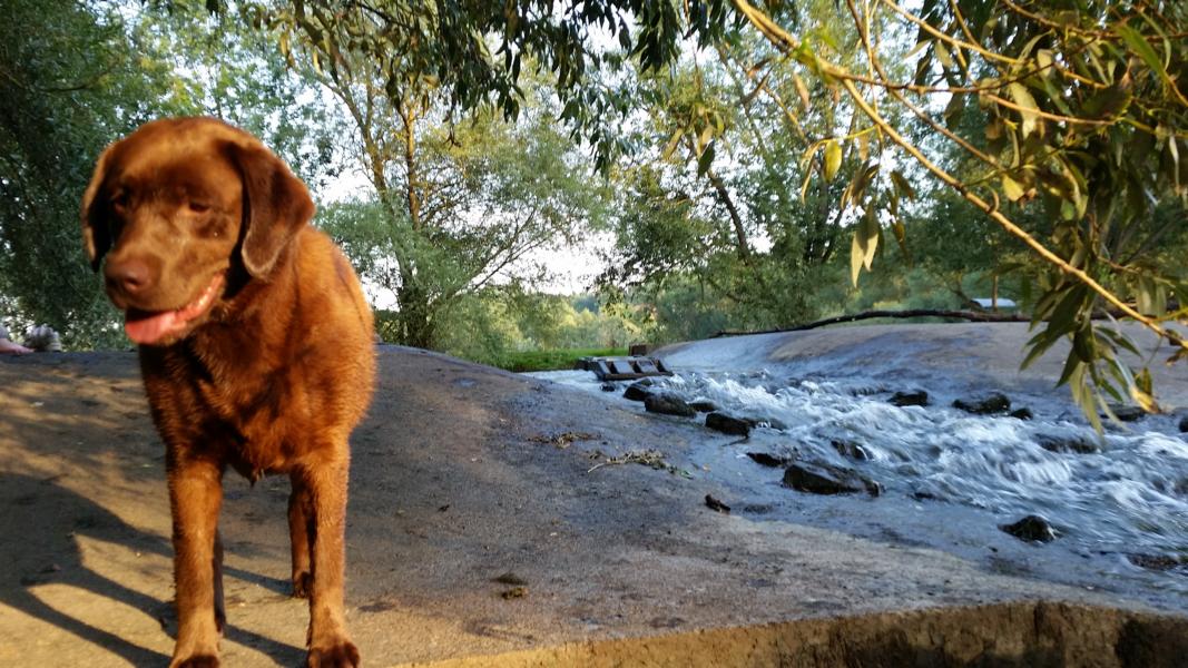 Allegro in der Natur 1 Allegro in der Natur 1