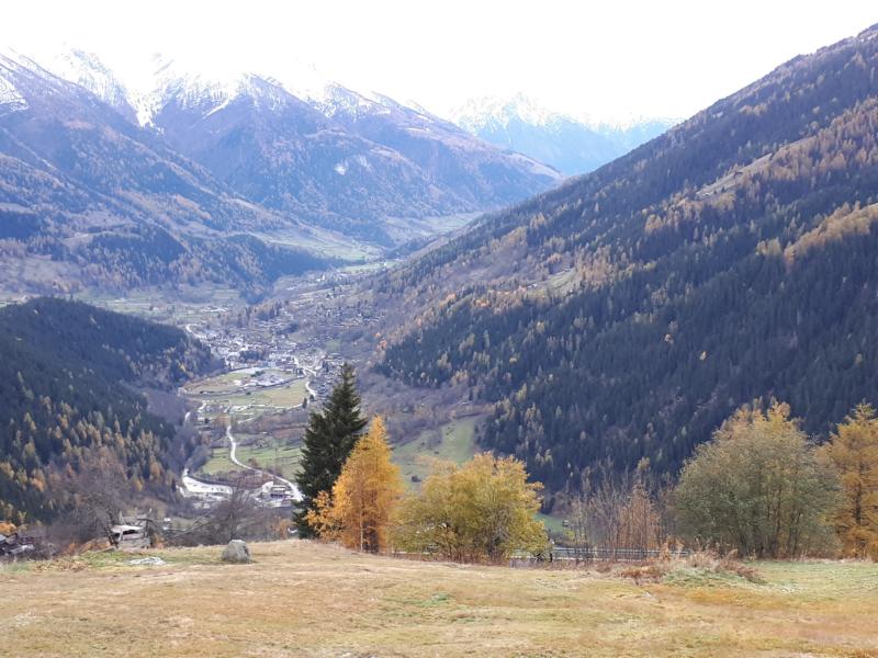 Blick ins Fieschertal