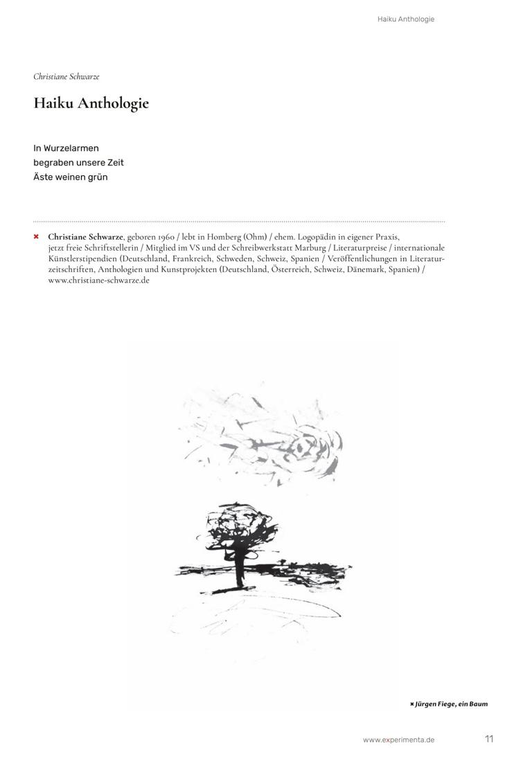 eXperimenta TraumZeit Seite 11 eXperimenta TraumZeit Seite 11